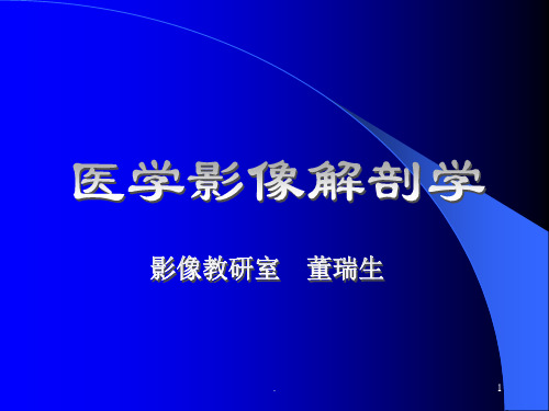 头颈部影像解剖 肺与纵隔ppt课件