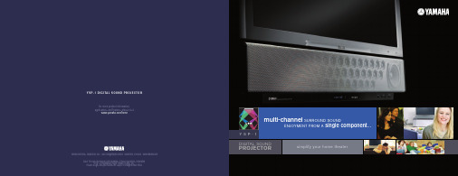 Yamaha YSP-1数字音响项目器说明书