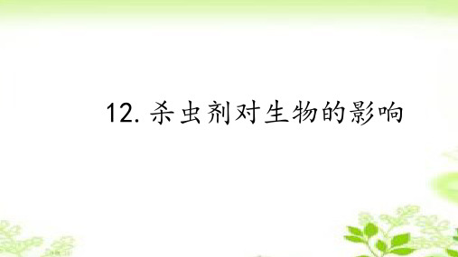 2020冀人版三年级科学下册12.杀虫剂对生物的影响精品课件