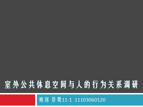 室外公共休息空间与人的行为关系调研