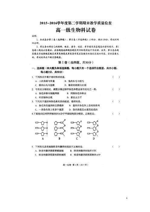 广东省潮州市高一生物下学期期末考试试题(扫描版)