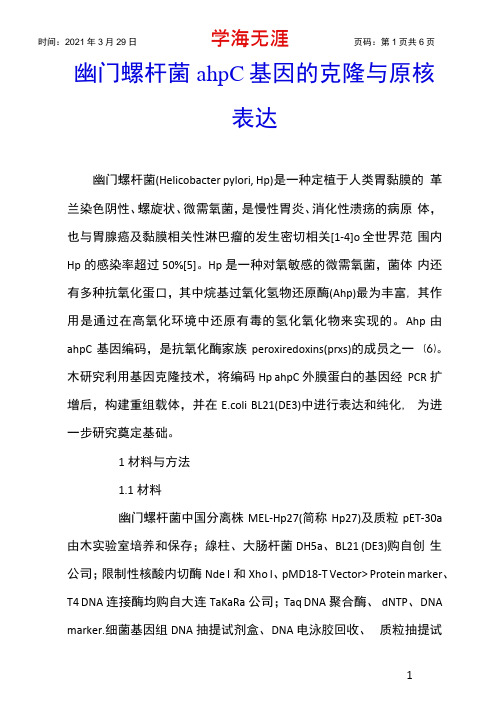 幽门螺杆菌ahpC基因的克隆与原核表达