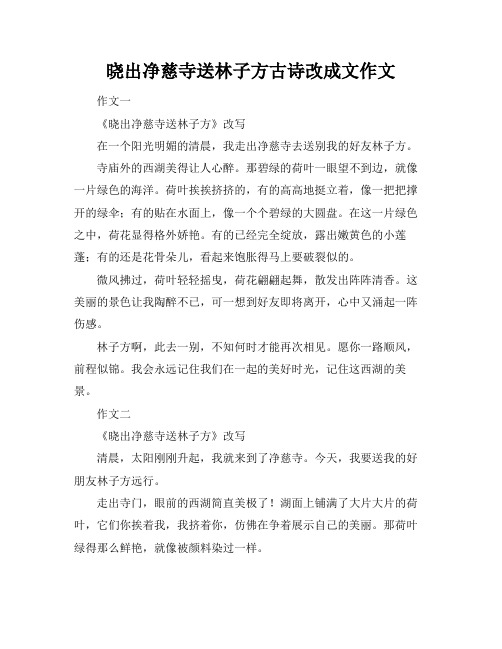 晓出净慈寺送林子方古诗改成文作文