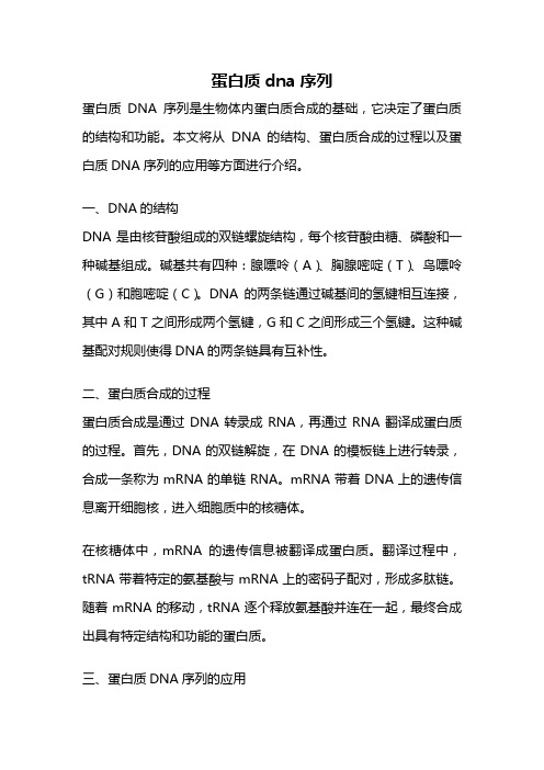 蛋白质dna序列