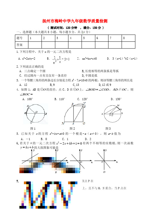 扬州市梅岭中学九年级数学质量检测