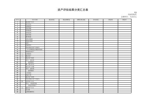 资产评估结果分类汇总表