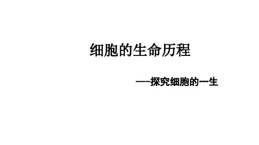 细胞的分化衰老和死亡(共25张PPT)人教版必修一