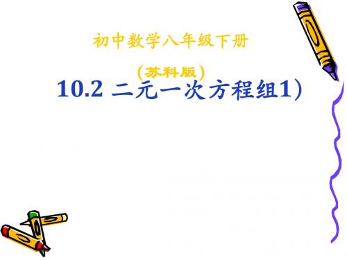 10.2二元一次方程组(1)