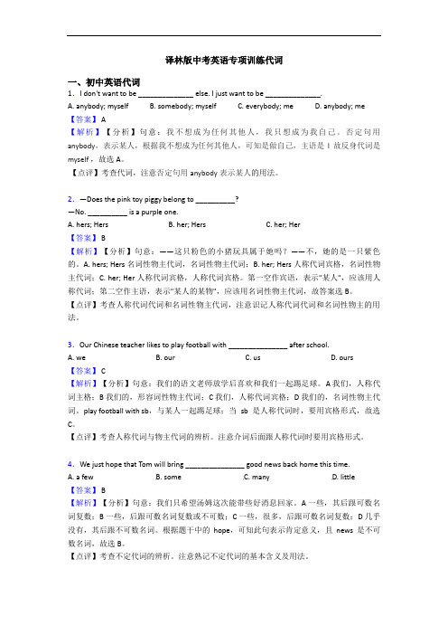 译林版中考英语专项训练代词