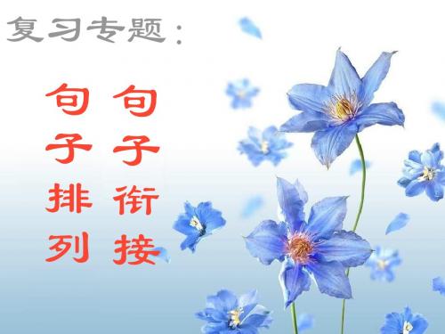 2013年初三语文18套中考复习(5)优秀PPT教学课件