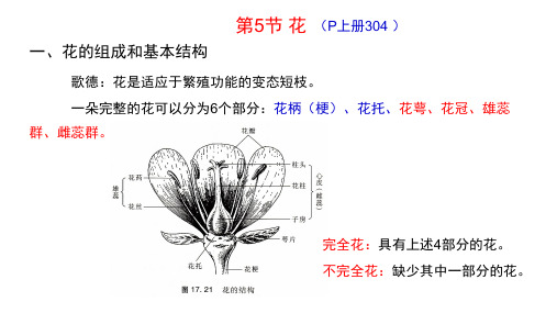 生物竞赛之植物形态解剖学 05 花的结构