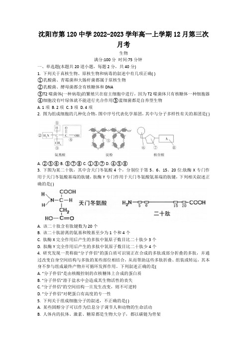 2022-2023沈阳市第120中学高一上学期12月第三次月考生物学试题(Word版含答案)