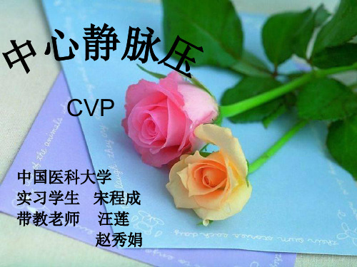 中心静脉压(cvp)