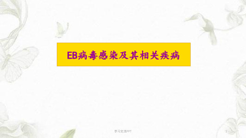 EBV病毒ppt课件