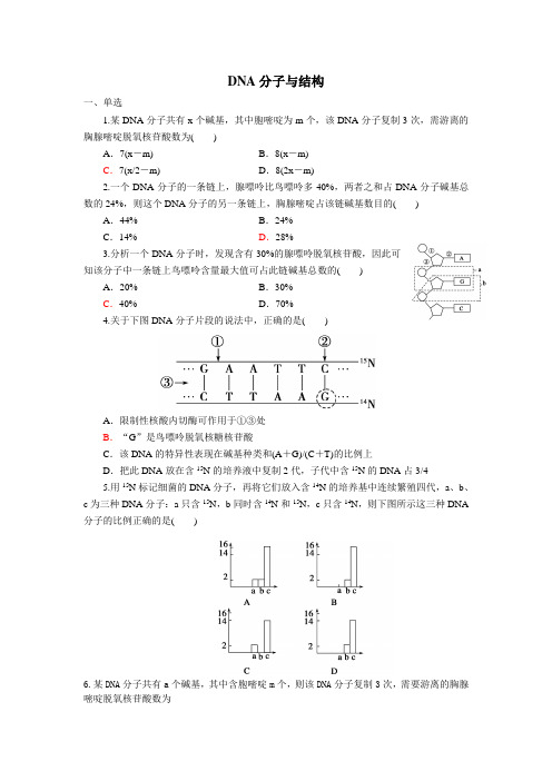 人教版高中生物必修二DNA分子结构小练习