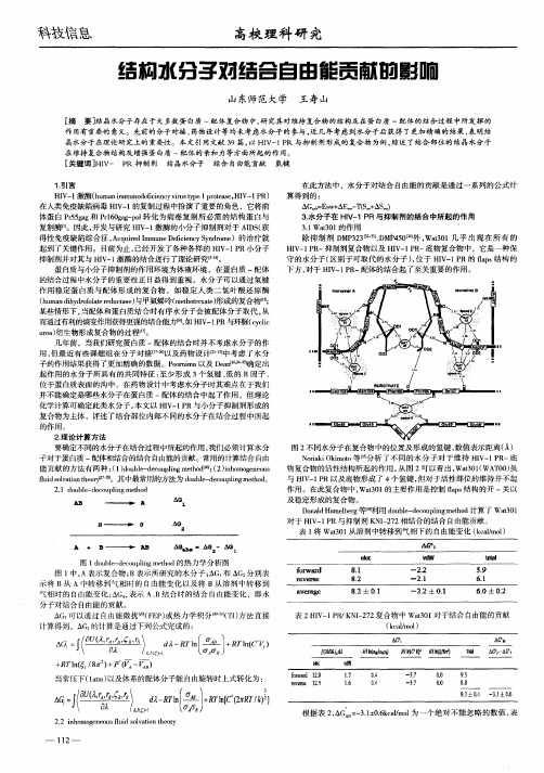 结构水分子对结合自由能贡献的影响