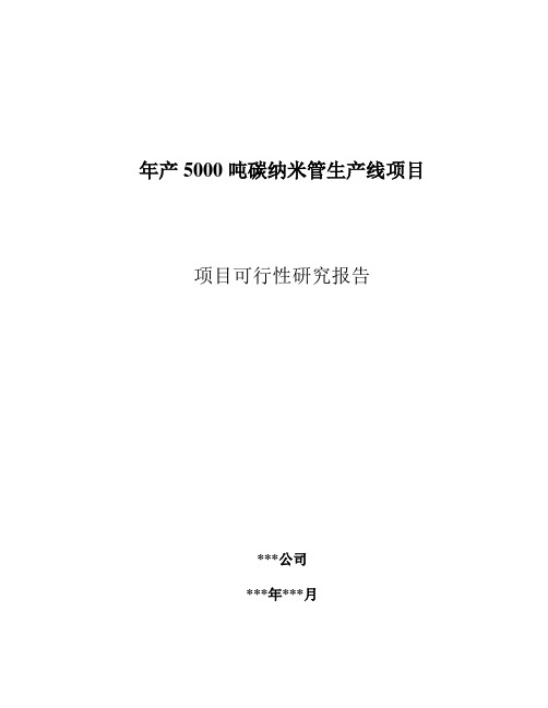 年产5000吨碳纳米管项目可行性研究报告