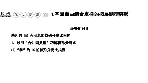 2021届高三生物一轮复习课件：热点题型专练4 基因自由组合定律的拓展题型突破