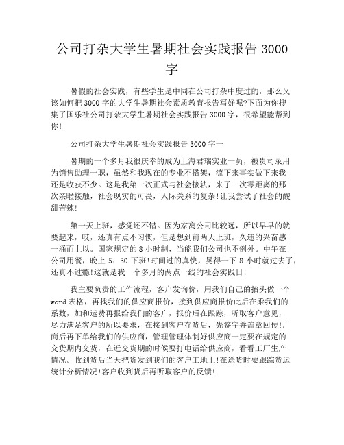 公司打杂大学生暑期社会实践报告3000字