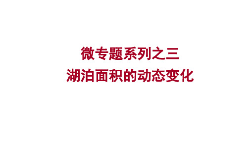 高中地理一轮复习课件+微专题3+湖泊面积的动态变化