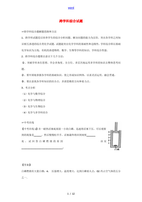 中考化学考前冲刺专题6 跨学科综合试题