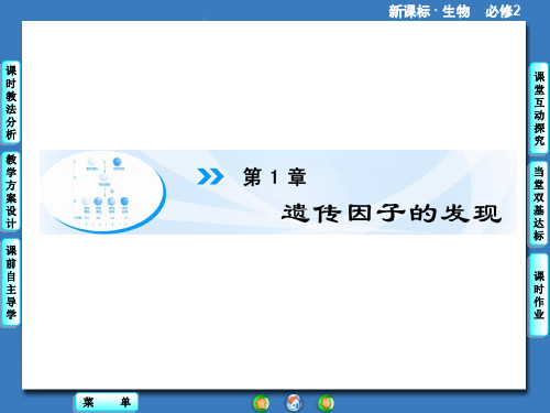 1.1孟德尔的豌豆杂交实验(一) 课件(人教版必修2)