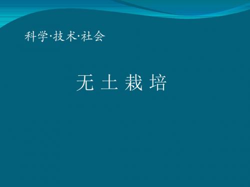 人教2011初中生物七年级上册《第二章  被子植物的一生 科学·技术·社会  无土栽培》_3