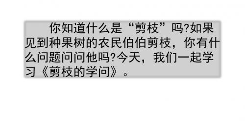 2019年新苏教版三年级语文下册课件：9剪枝的学问