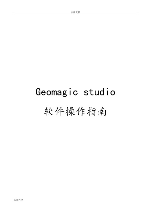 Geomagicstudio软件操作指南设计