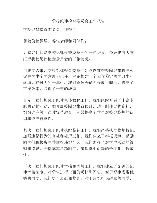 学校纪律检查委员会工作报告