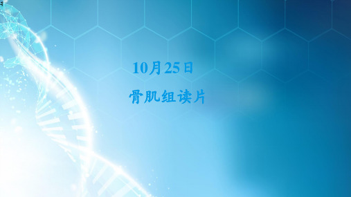 动脉瘤样骨囊肿ppt课件