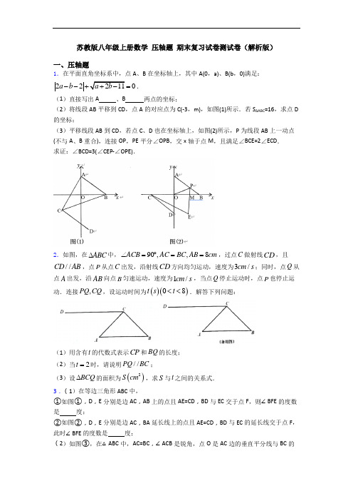 苏教版八年级上册数学 压轴题 期末复习试卷测试卷(解析版)