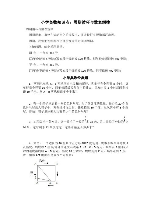 小学奥数知识点：周期循环与数表规律