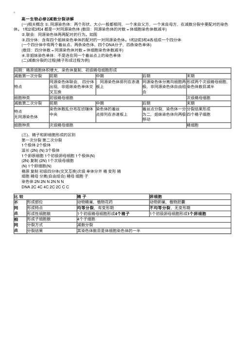 高一生物必修二减数分裂讲解