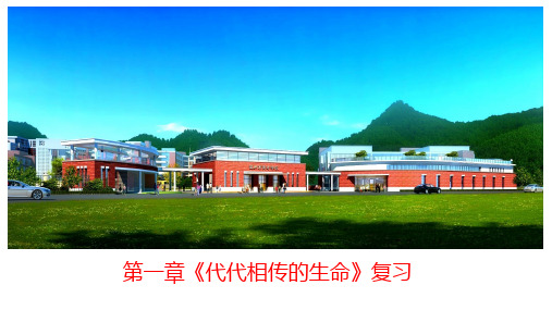 第一章《代代相传的生命》复习课件-【上好课】2021-2022学年七年级科学下册(浙教版)