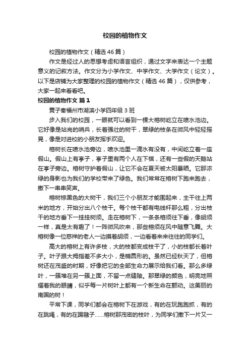 校园的植物作文