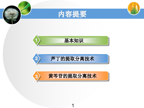 黄酮类成分的提取分离技术.ppt