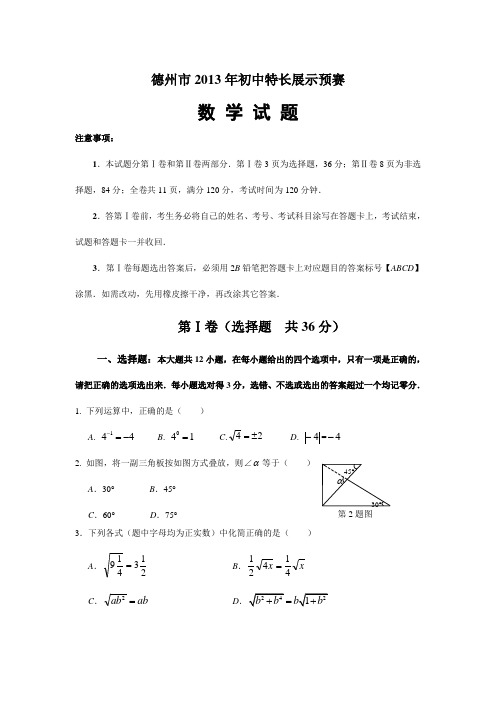 德州市2013年初中特长展示预赛数学试题(含答案)