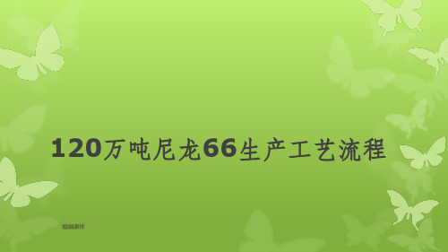 120万吨尼龙66生产工艺流程