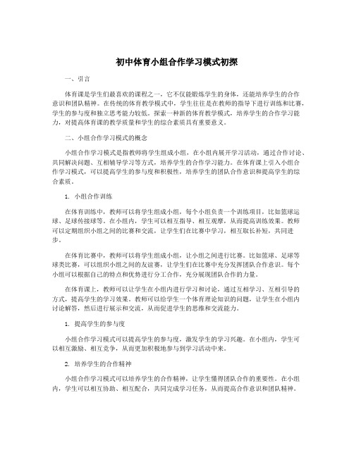 初中体育小组合作学习模式初探