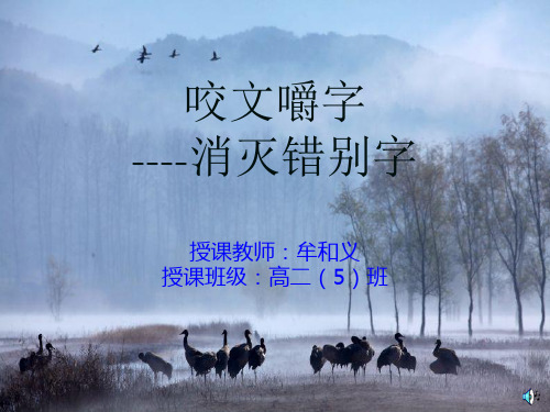 咬文嚼字----消灭错别字