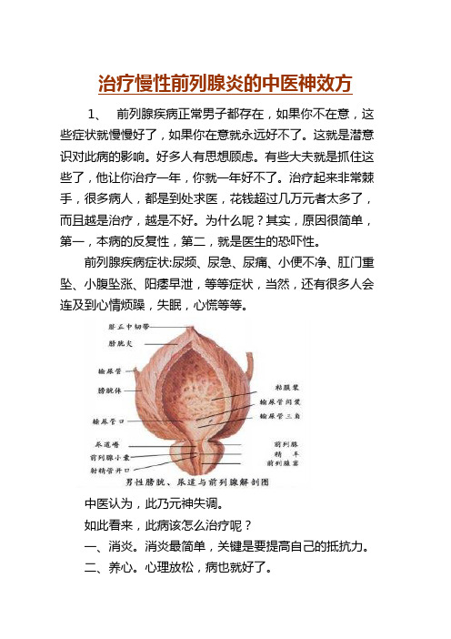 治疗慢性前列腺炎的中医神效方题库