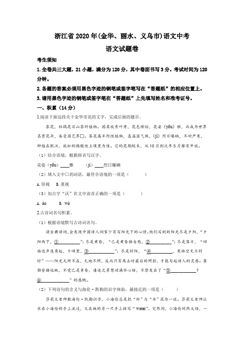 浙江省金华、丽水、义乌市2020年中考语文试题(含答案与解析)