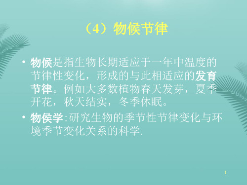 【全版】物候节律推荐PPT