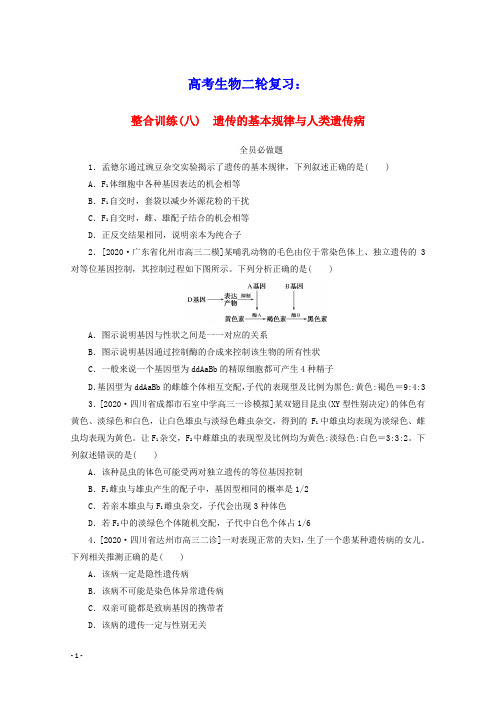 统考版2021高考生物二轮复习整合训练八遗传的基本规律与人类遗传病含解析