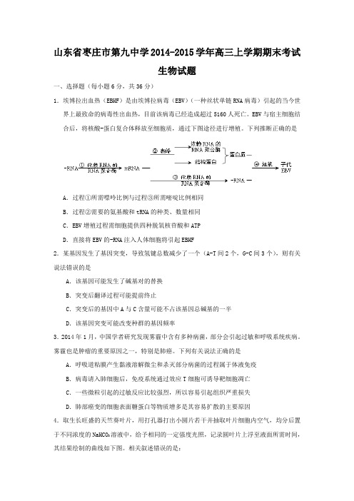 【生物】山东省枣庄市第九中学2015届高三上学期期末考试