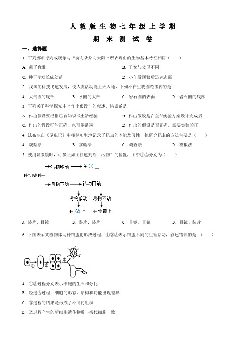 七年级上学期生物《期末考试试卷》含答案解析