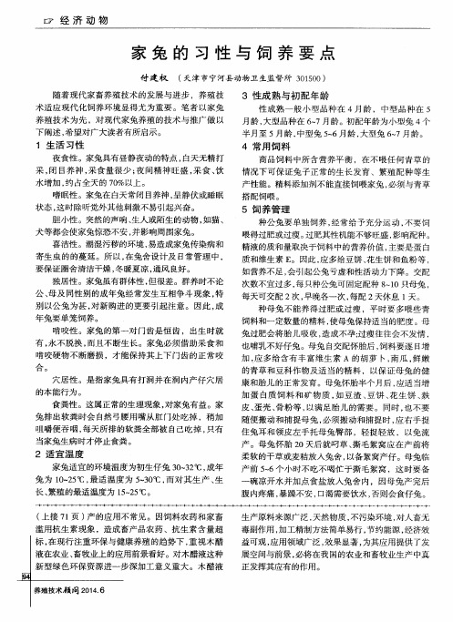 家兔的习性与饲养要点