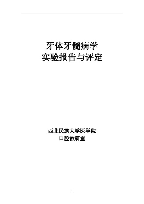 牙体牙髓病学实验指导  西北民族大学