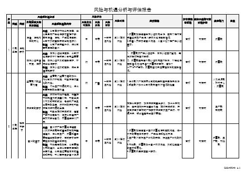 6.1风险与机遇分析与评估报告范例IATF16949与ISO9001通用